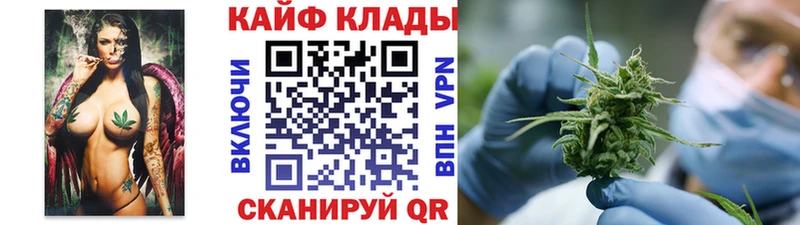 Виды наркоты Пучеж Псилоцибиновые грибы Гашиш COCAIN СОЛЬ