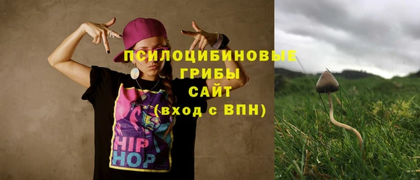 герыч Арсеньев