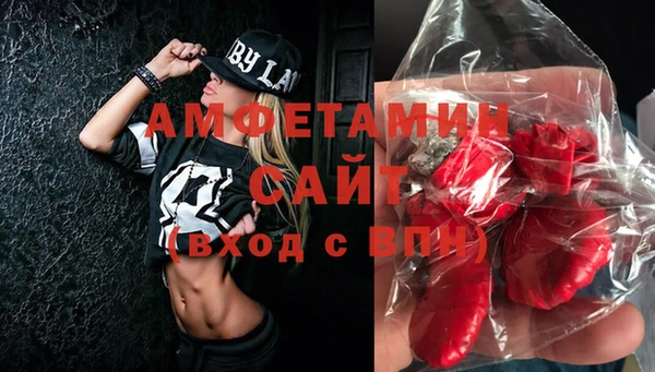 ГАЛЛЮЦИНОГЕННЫЕ ГРИБЫ Аркадак