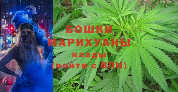 герыч Арсеньев