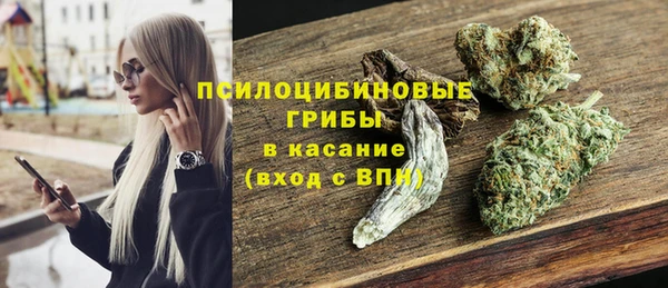 ГАЛЛЮЦИНОГЕННЫЕ ГРИБЫ Аркадак