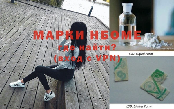 ГАЛЛЮЦИНОГЕННЫЕ ГРИБЫ Аркадак