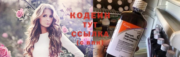 ГАЛЛЮЦИНОГЕННЫЕ ГРИБЫ Аркадак