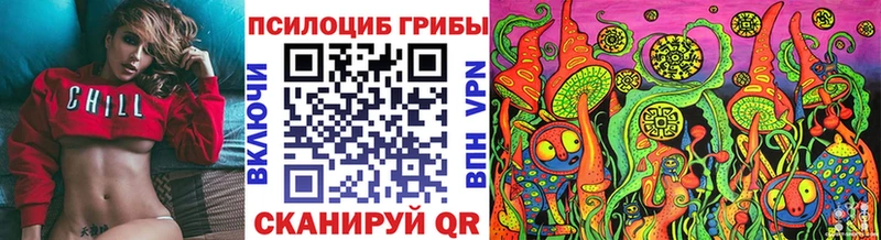 Галлюциногенные грибы GOLDEN TEACHER  наркота  Пучеж 